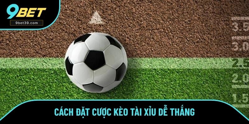 Cách đặt cược kèo tài xỉu dễ thắng