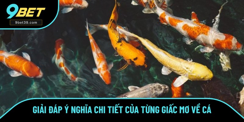 Điềm báo của các trường hợp mơ thấy cá chi tiết