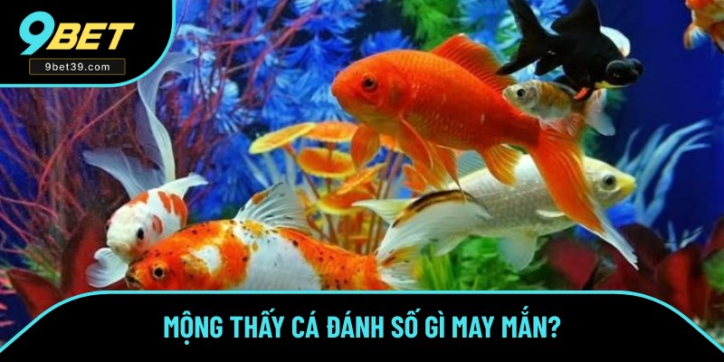 Giấc mộng tương ứng với con số dễ trúng